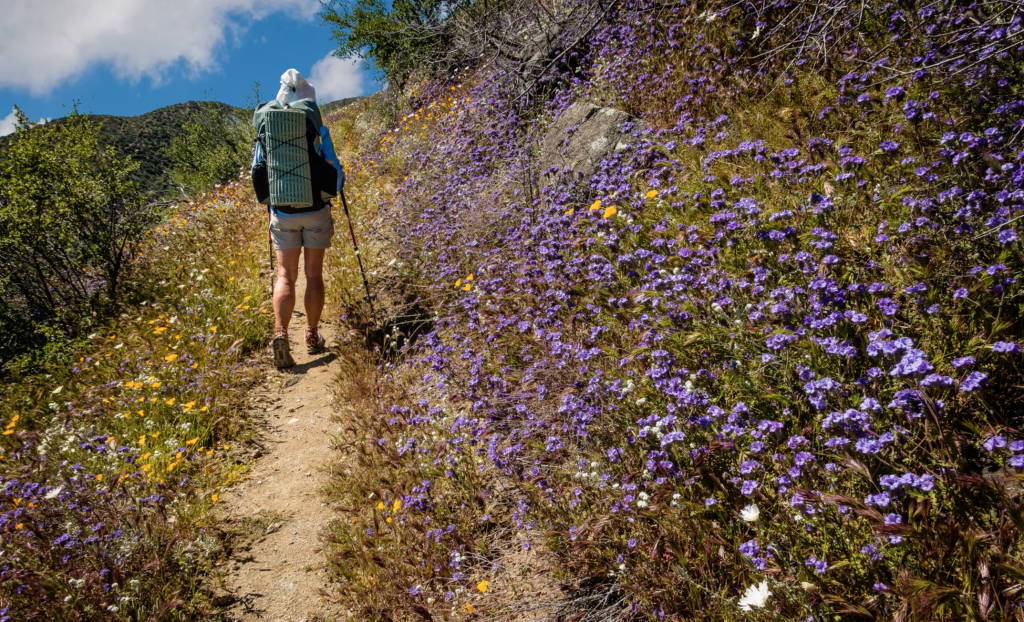 Important Update for Thru-Hikers & Bikers for Spring 2026