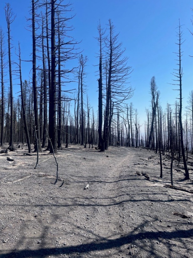 66 Miles of Arizona Trail Closed Due To Wildfires
