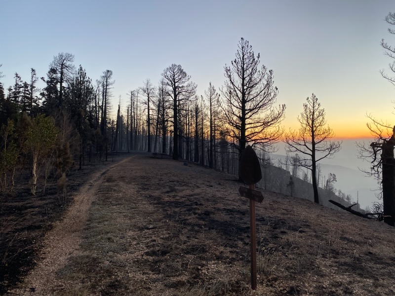 AZT Reopens on North Kaibab