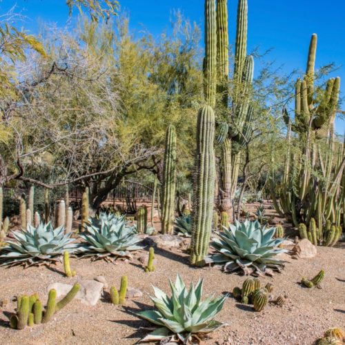 32nd Annual Meeting Tickets