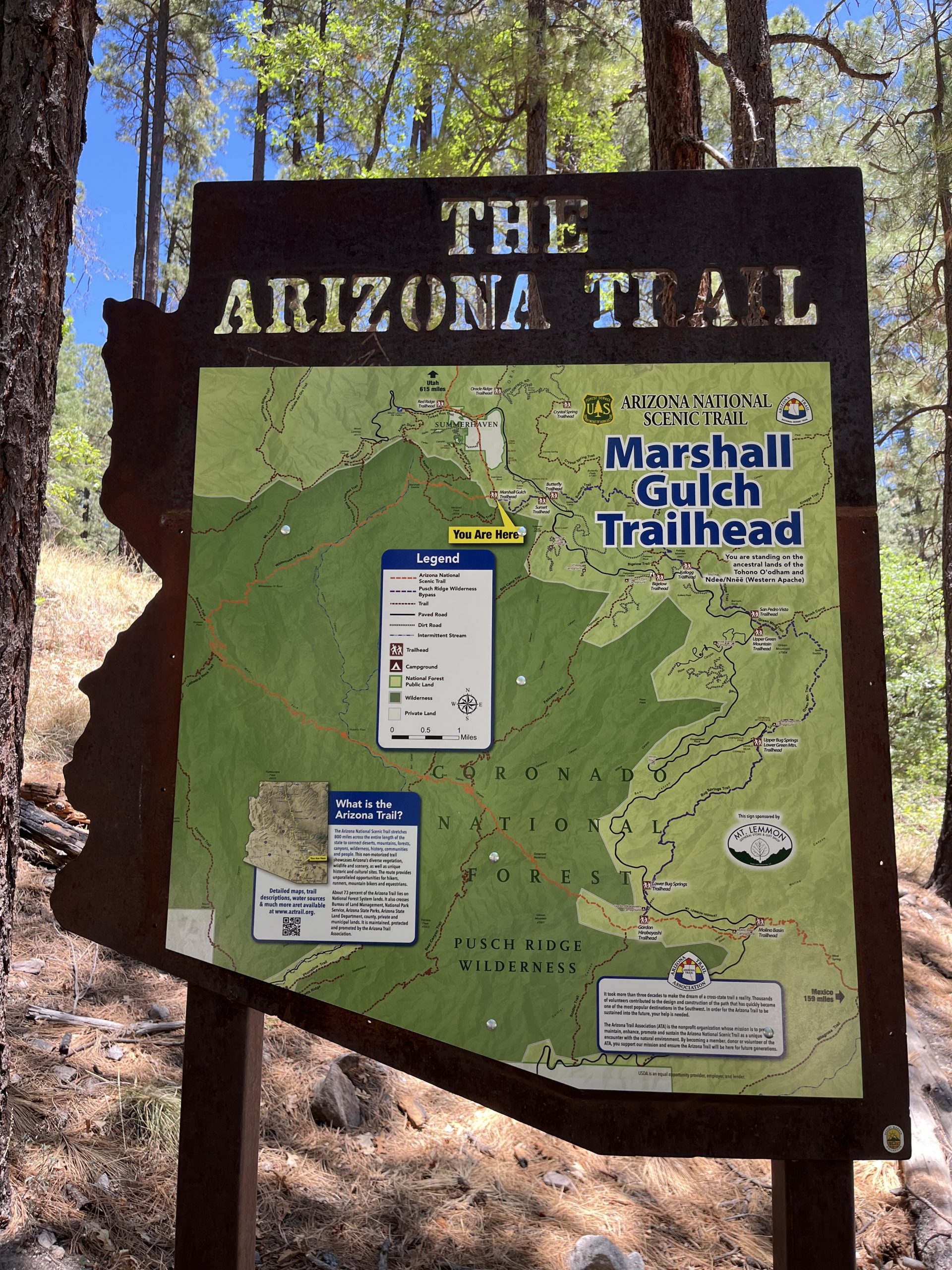 Temporary Detour Near Summerhaven