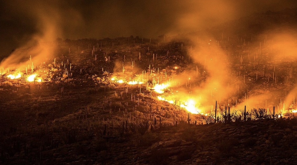 Box Fire in Saguaro National Park Forces Closure of Grass Shack Campground and Loma Alta Trailhead