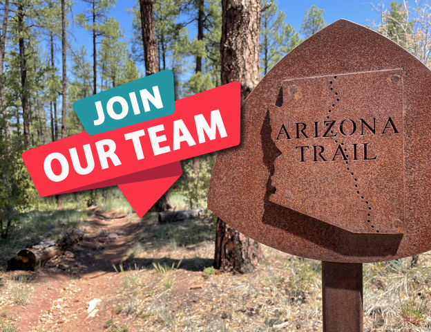 Employment Opportunity: Administrative Director
