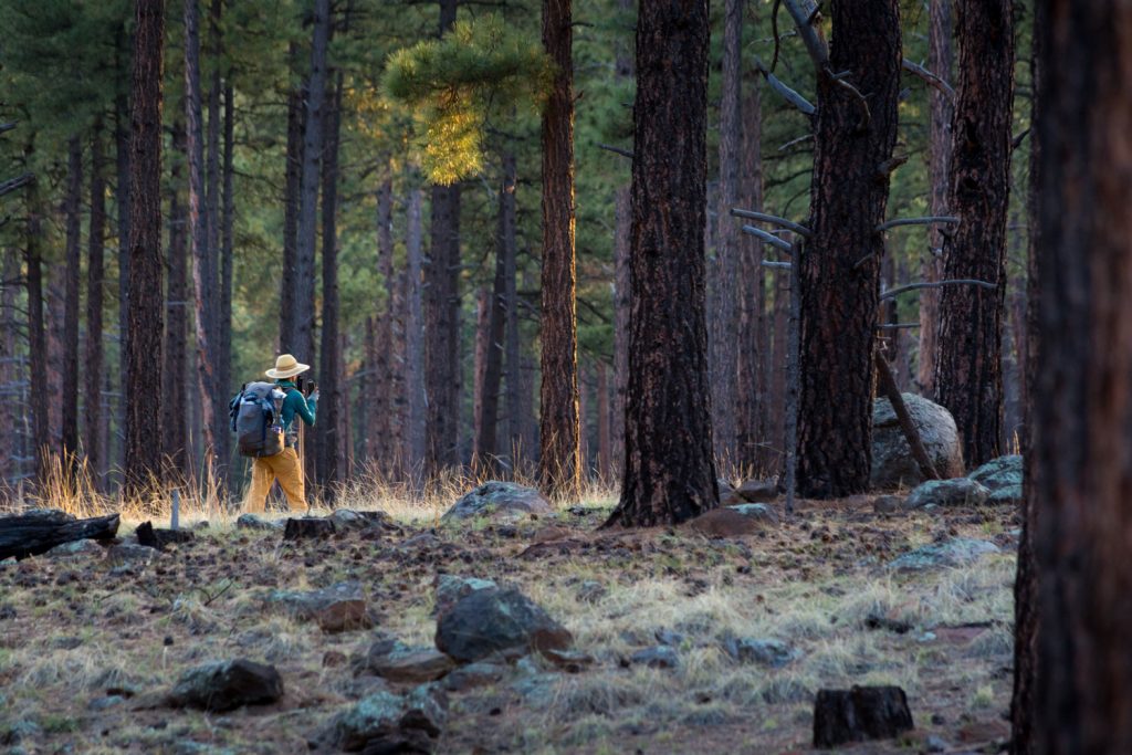 New Statewide Survey Shows an Overwhelming Majority of Arizona Voters Oppose Cutting Protections for National Monuments