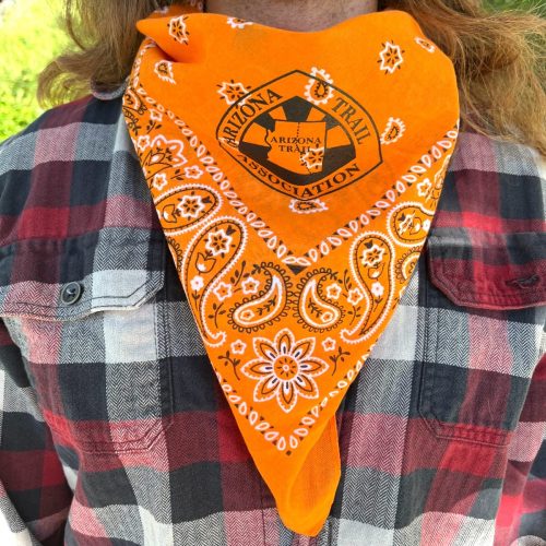 AZT Bright Orange Bandana